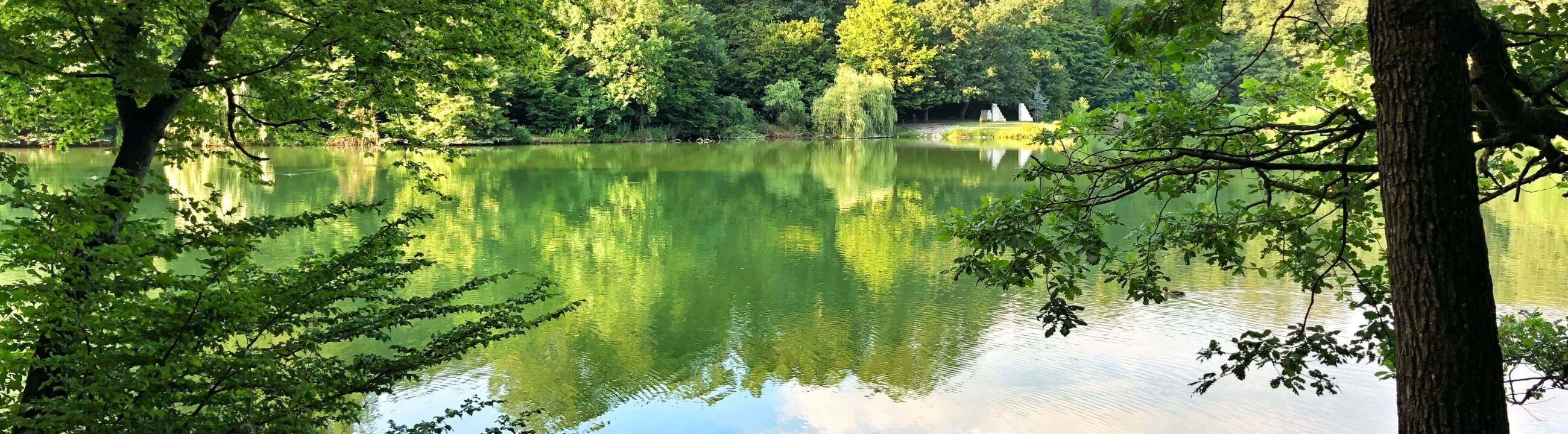 Deadbait Zubehör, Zubehör zum angeln mit Köderfisch, alles für Köderfischmontagen - collection Banner