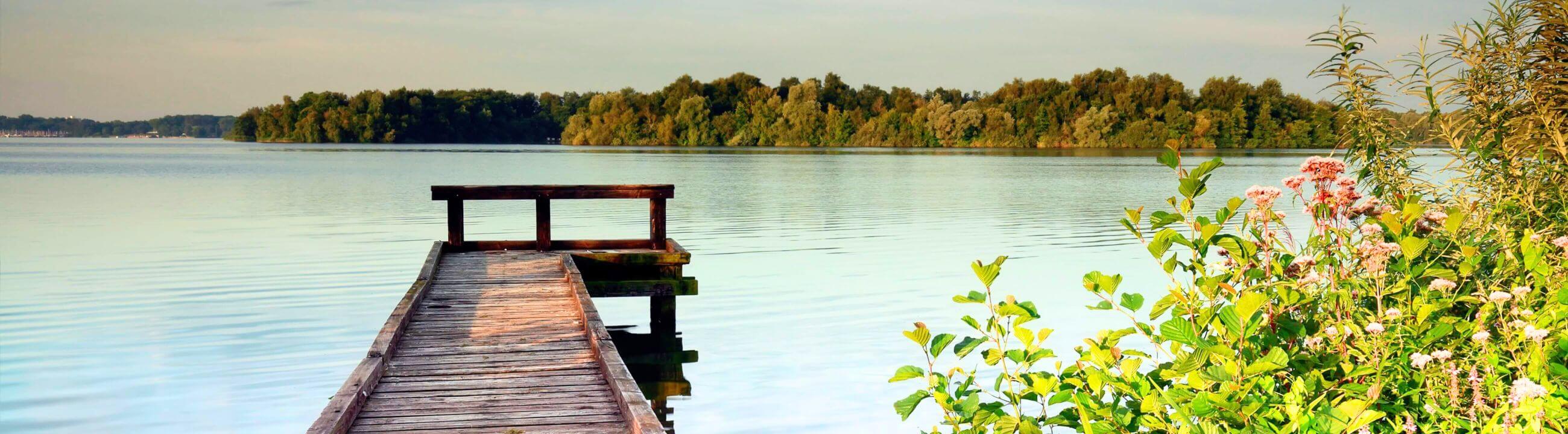 Deadbait Gewichte - Tungsten, Blei für Deadbait, Gewichte zum Köderfichangeln, Posengewichte
