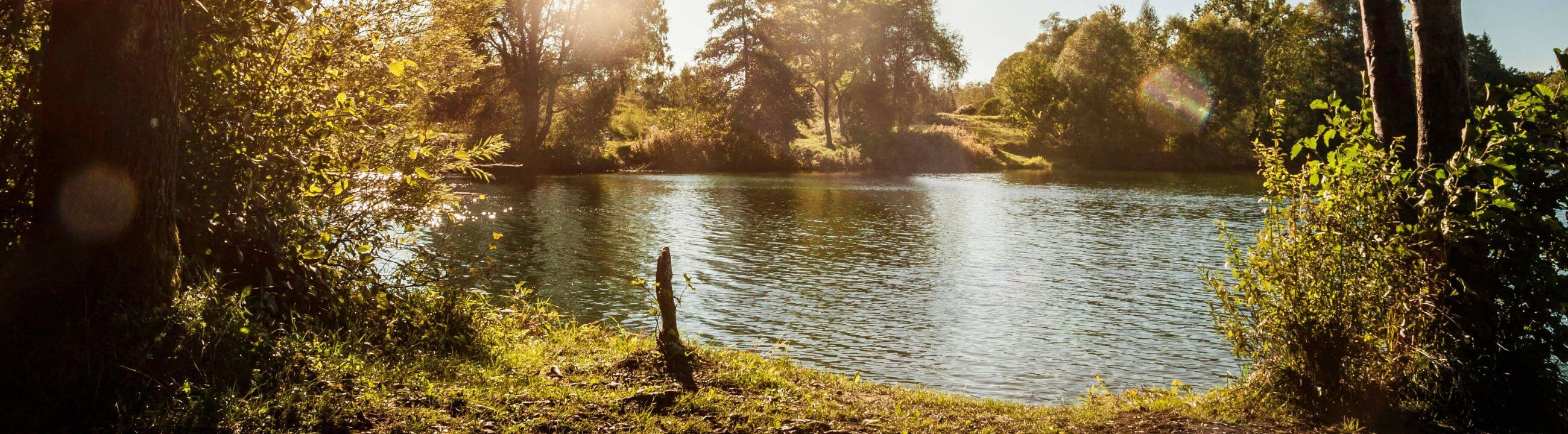 Deadbait Haken für deine Köderfischmontage, Haken für tote köderfische - Collection Banner