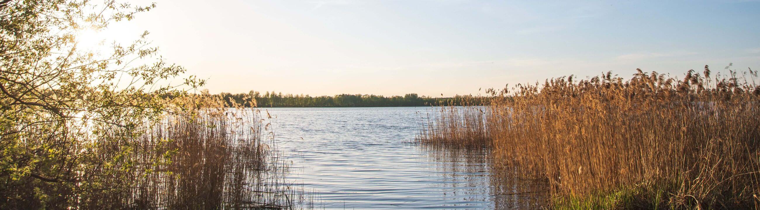 Float Weights - Posenbleie für Köderfische