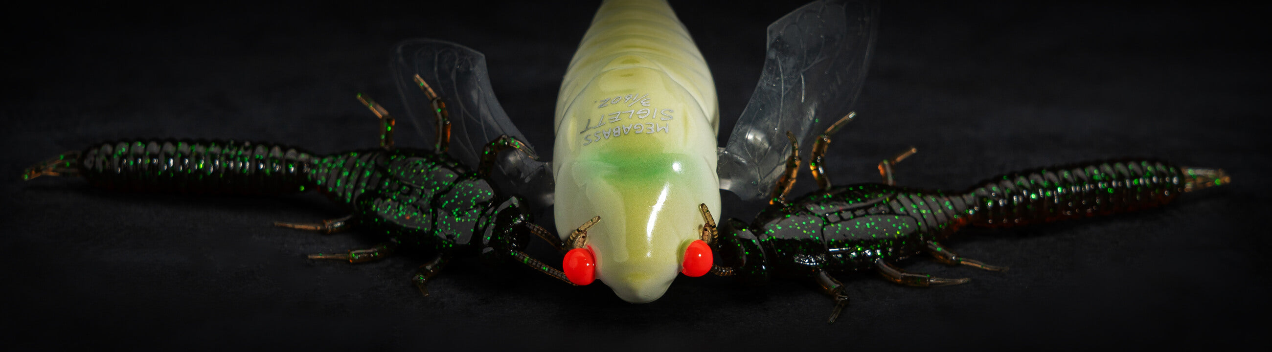 Insekten Angelköder