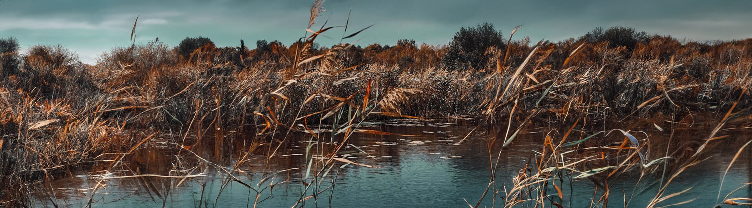 Schwarzbarsch Köder