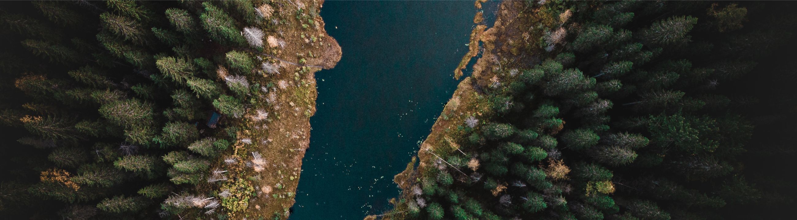 Terminal Tackle von Daiwa