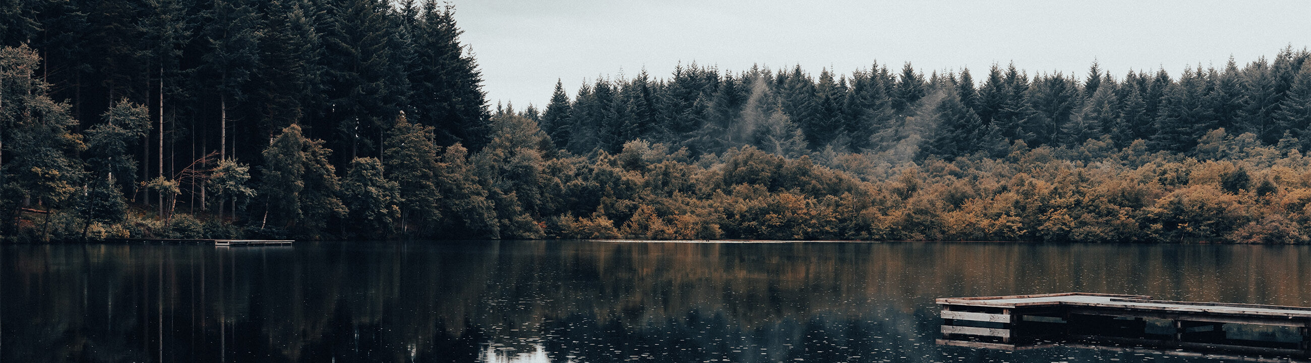 Hakenlöser für Angler