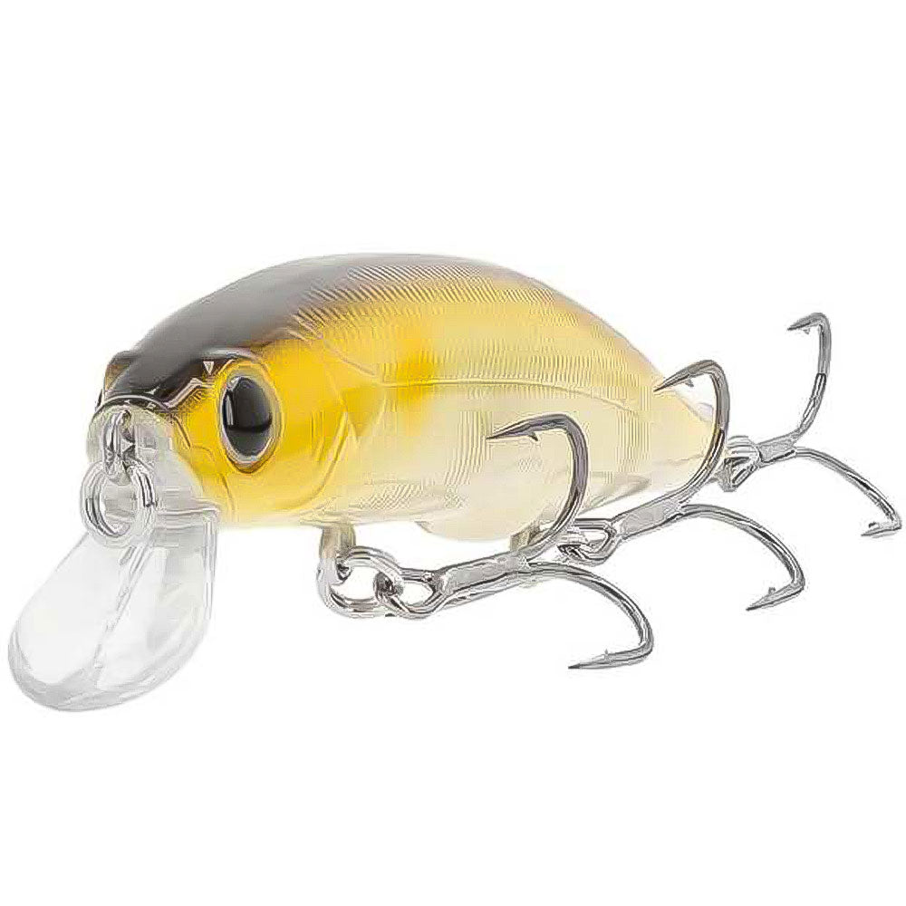 Crazee Shad 59 SF