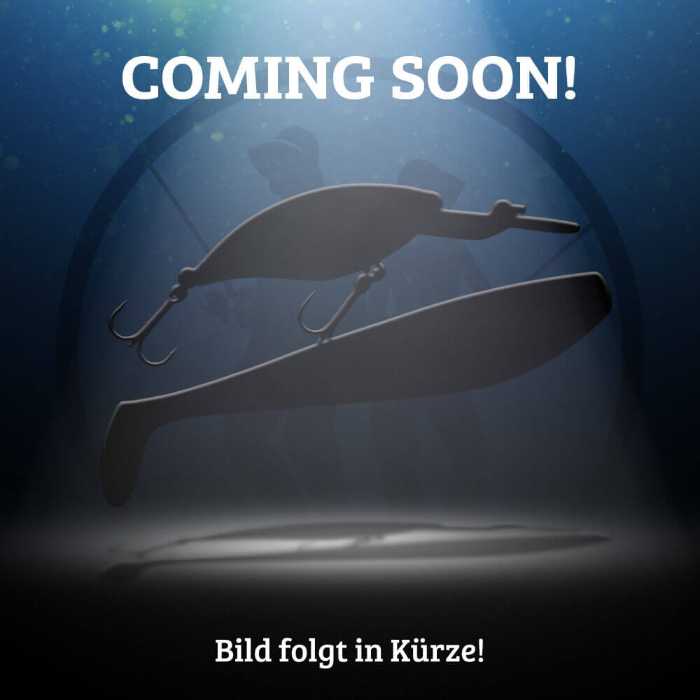 Hänels ZANDER Läufer 12,5 cm / 22 g