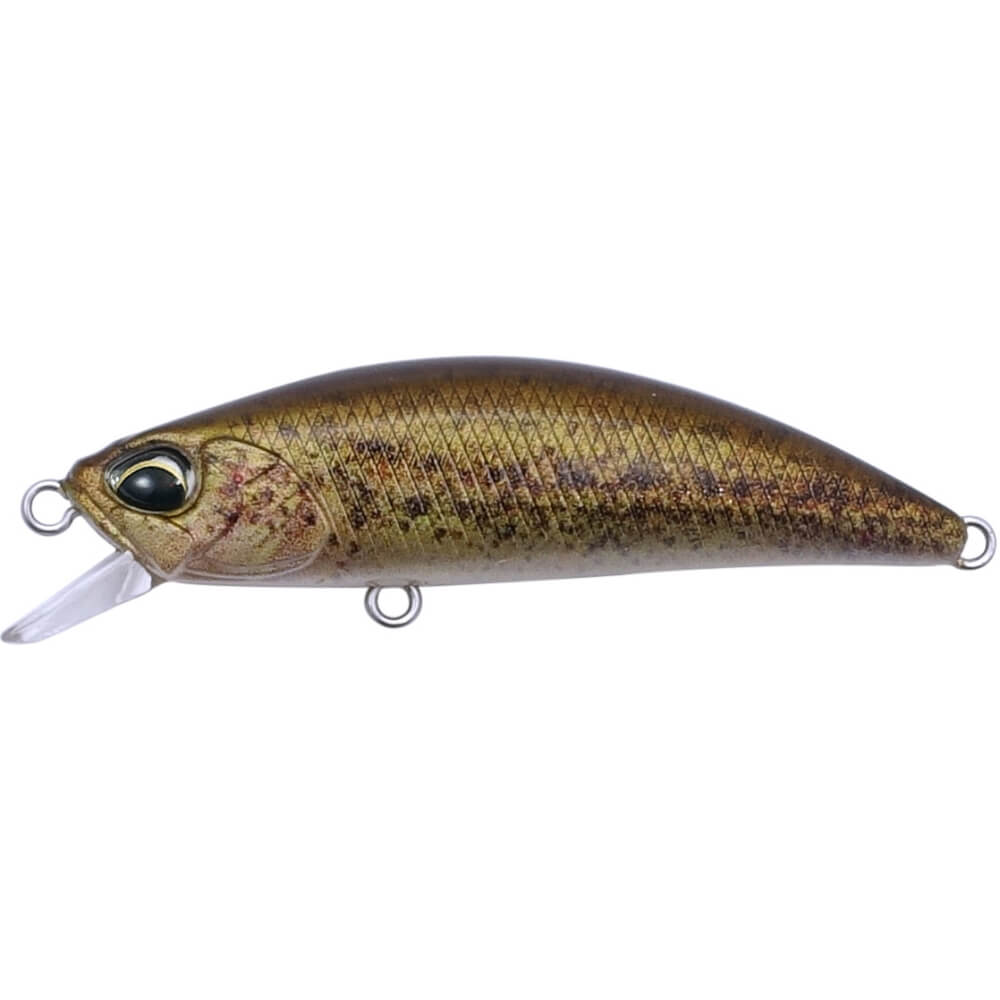 DUO International Spearhead Ryuki 50F RP Loach