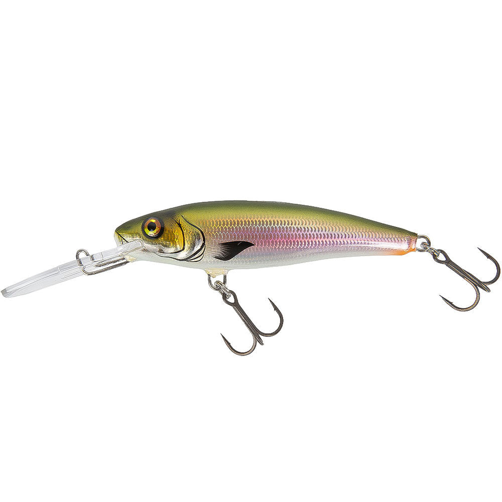 Fisch-Fang-Twitchmaster-85-Fisch-Fang-Edition-Rotauge