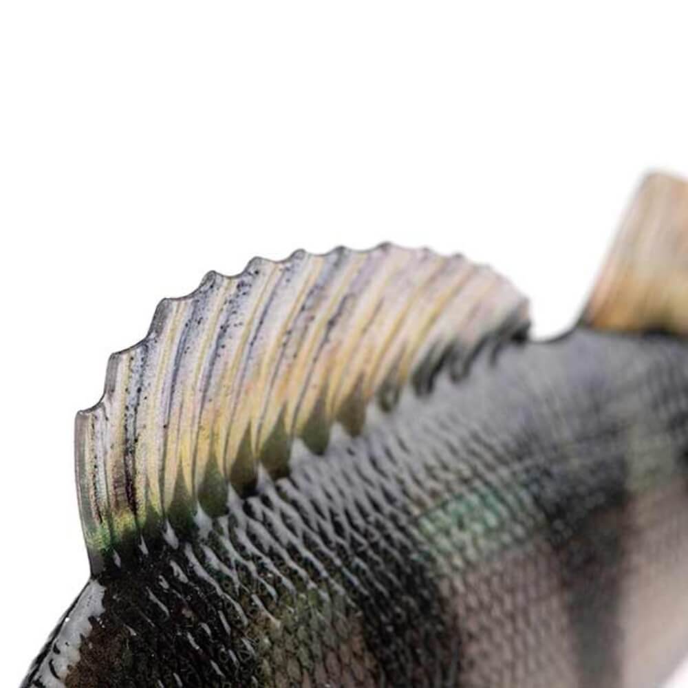 Fox Rage Ultra Realistic Perch Replicant 10 cm / 14 cm Detailbild RĂŒcken