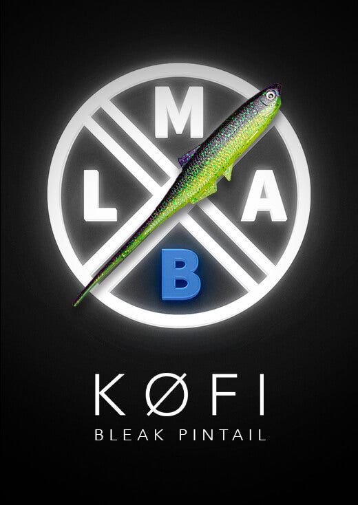 KOFI Bleak Pintail Promotion