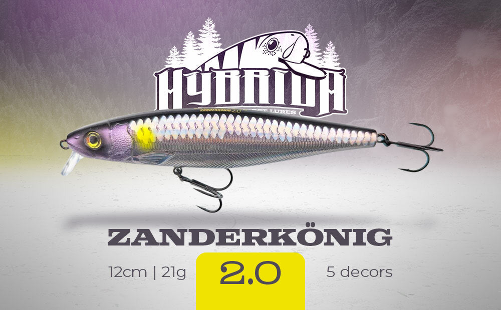 KW48-Hybrida-Zanderkonig-2-0-Shopbanner-Desktop