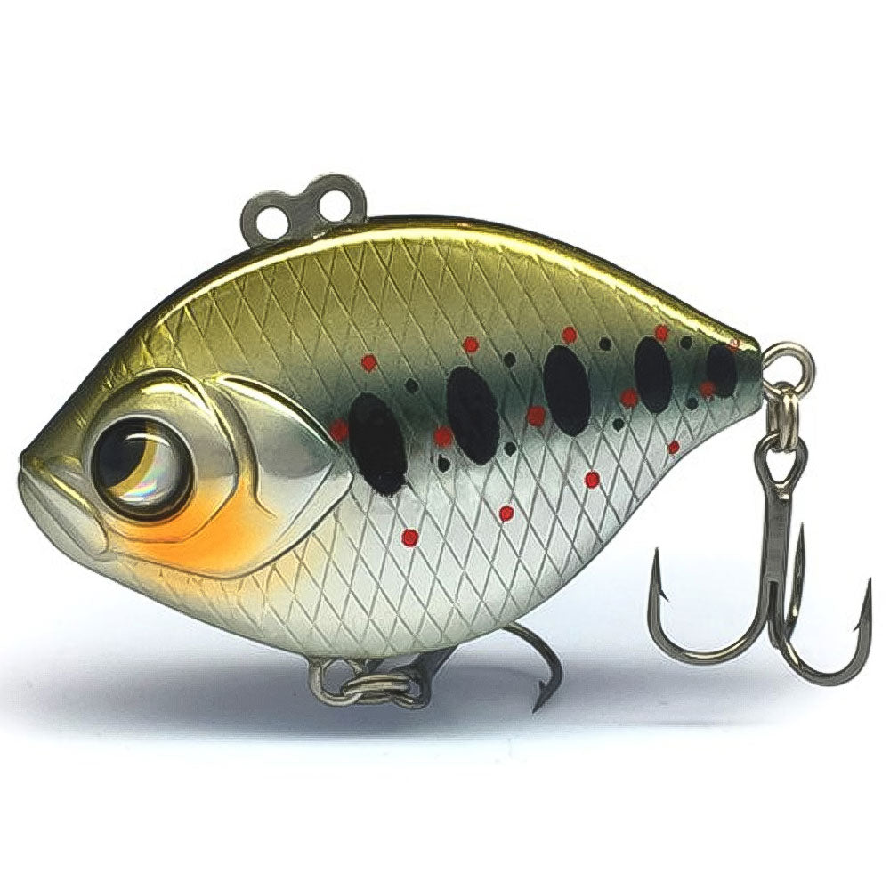 Lurefans-DoubleKill-DK-4-Asian-Troud-01