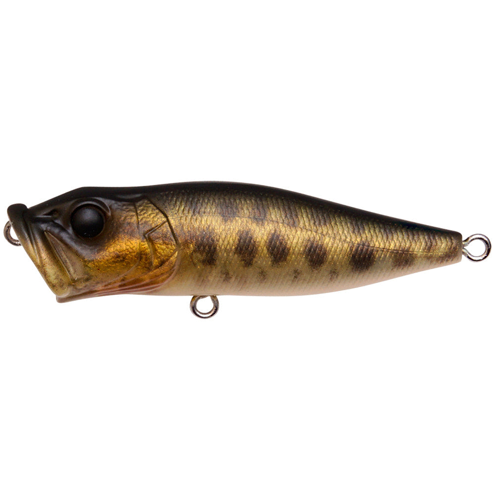 Megabass Megabass PopX 6,4 cm 7,0 g FA Baby Raigyo