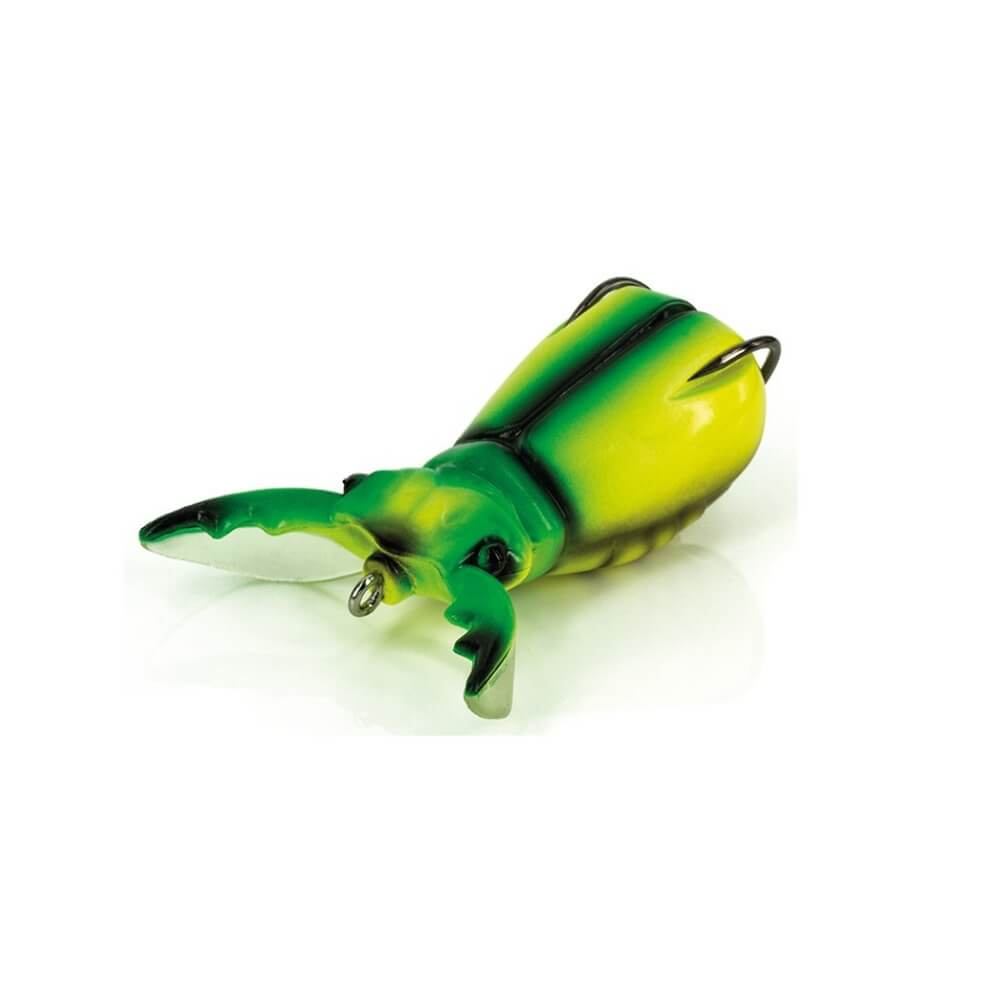 Molix Supernato Beetle Chart Beetle