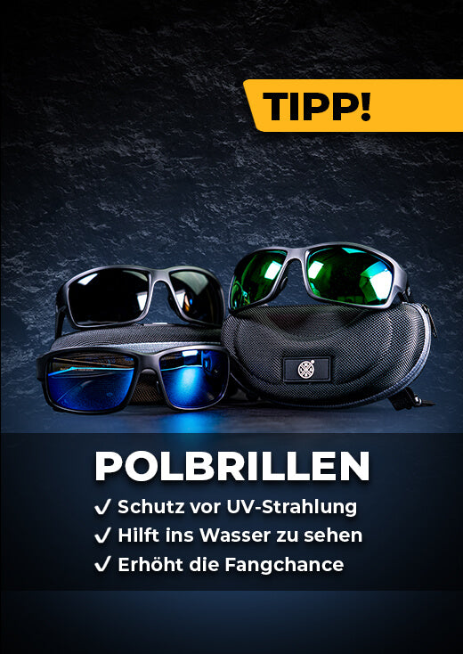 Polbrillen Promotion Block