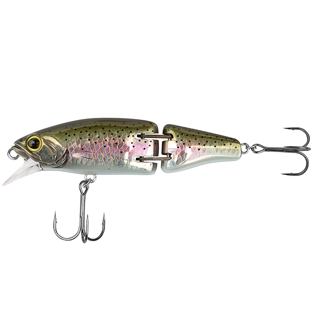 Shimano Cardiff Armajoint 60SS Armaboost Rainbow