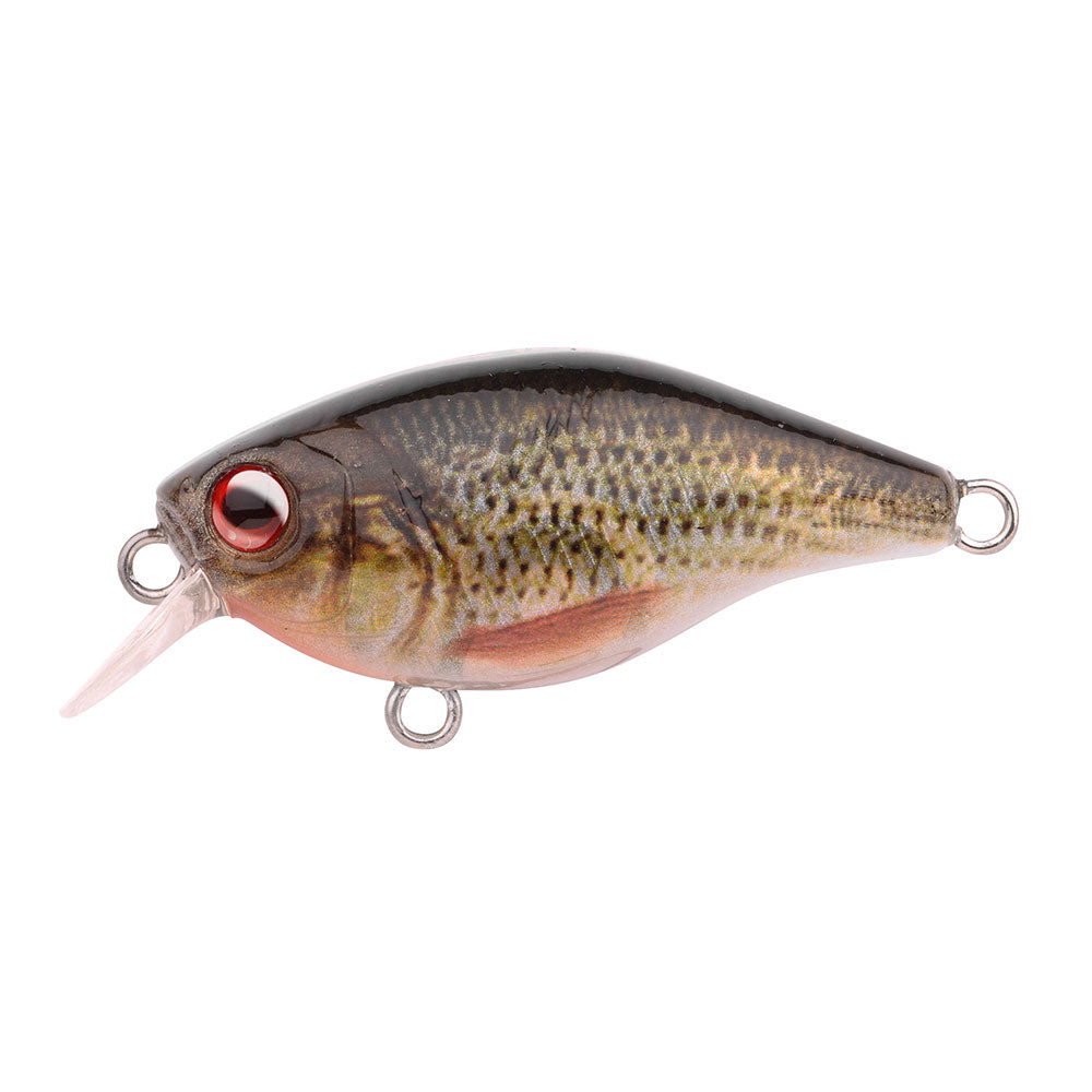 SPRO Ikiru Mini Crank 38F SL Roach