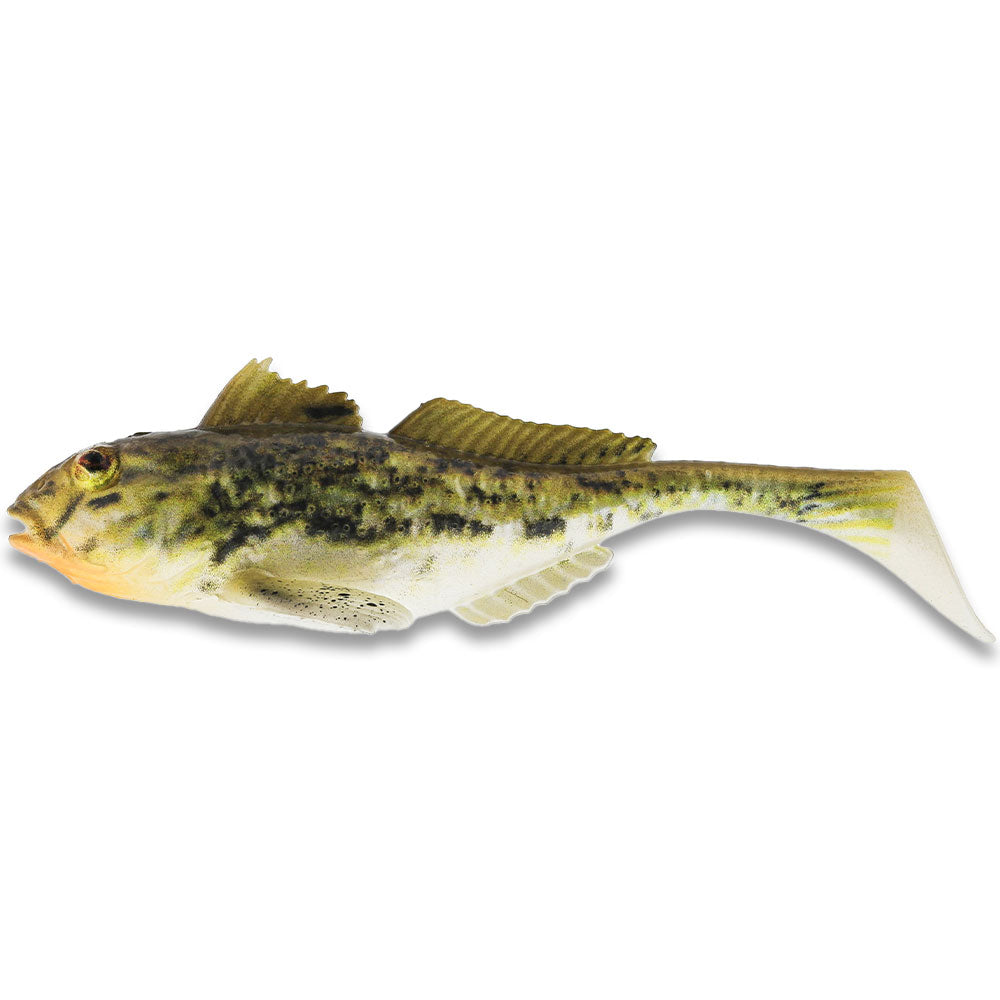 Westin-Gunnar-the-Goby-Sotted Goby