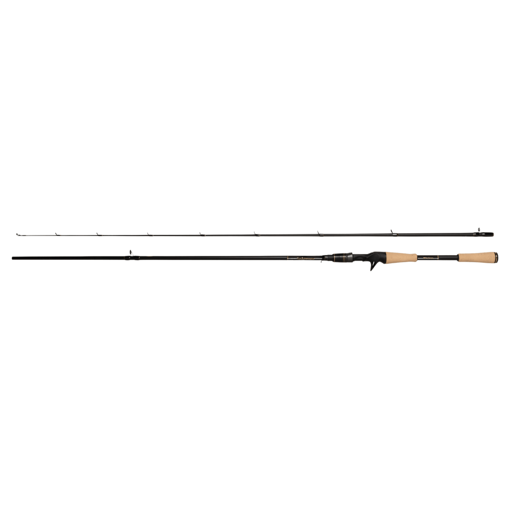 Abu Garcia RockSweeper (Casting)