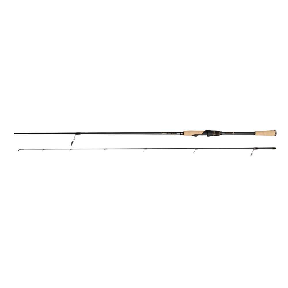 Abu Garcia RockSweeper (Spinning)