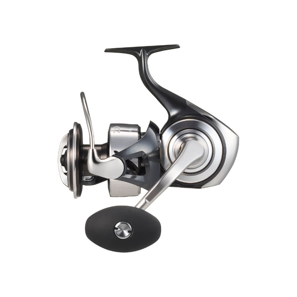 Daiwa 26 Certate SW Main
