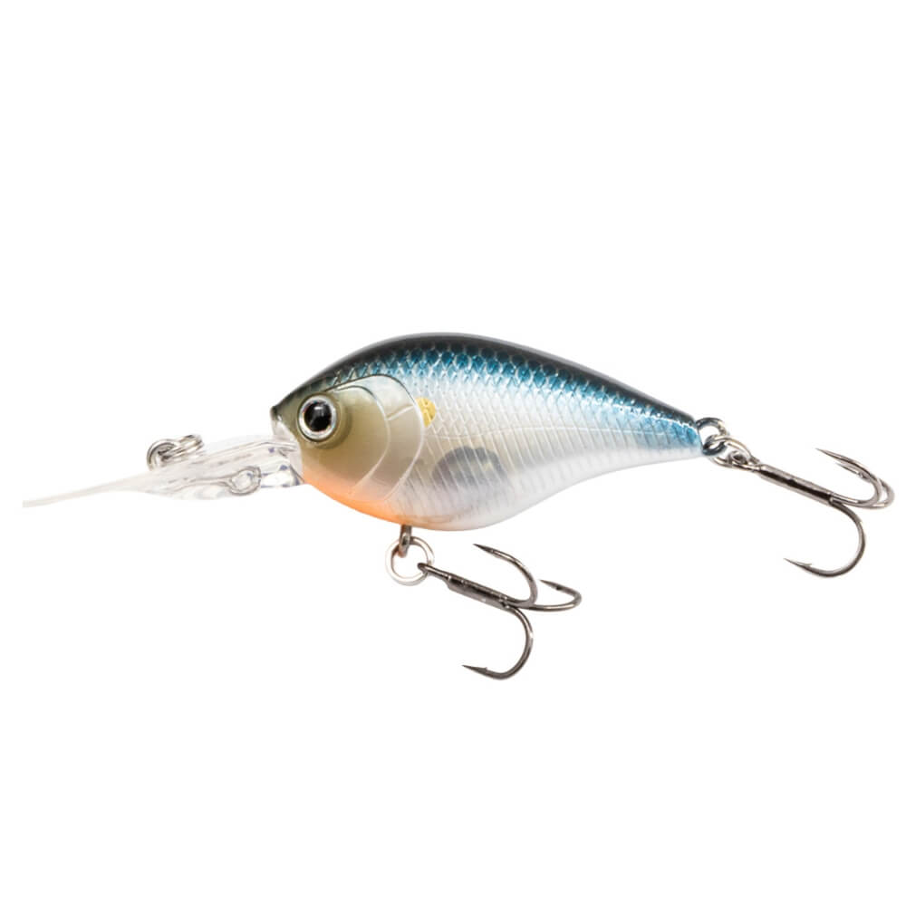 Noike Kaishin Crank Orange Spot Shiner