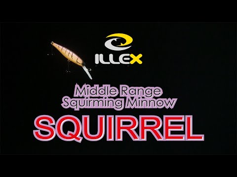 Illex Squirrel Video