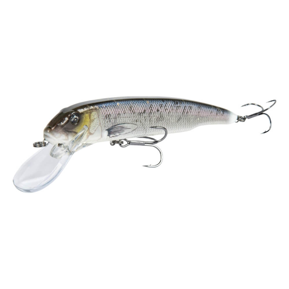 Savage Gear Sucker Flanker 20 cm Cisco Glitter