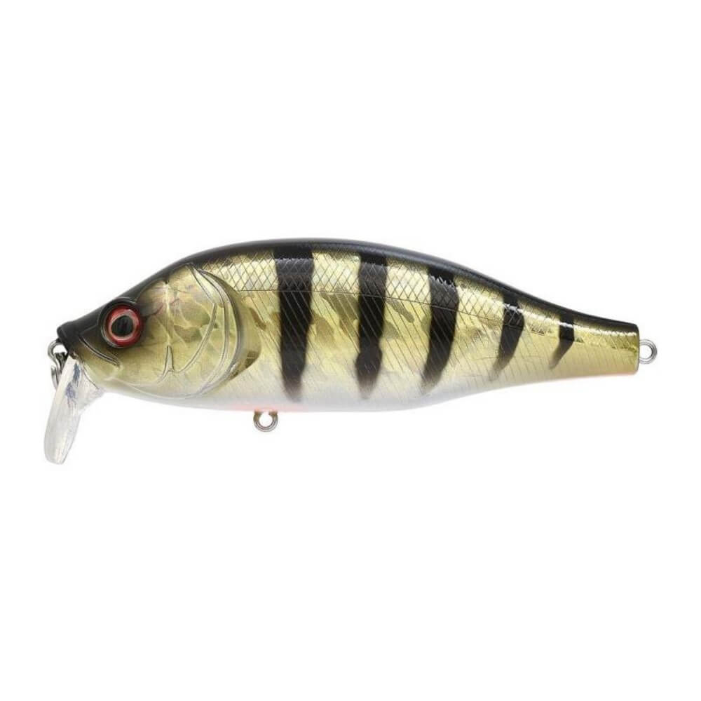 Xorus Dango 120 SR SR Perch