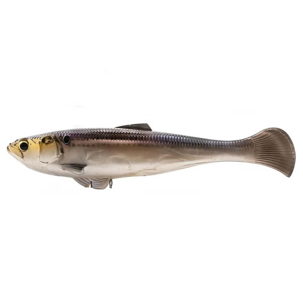Z-Man Swag LT Gizzard Shad