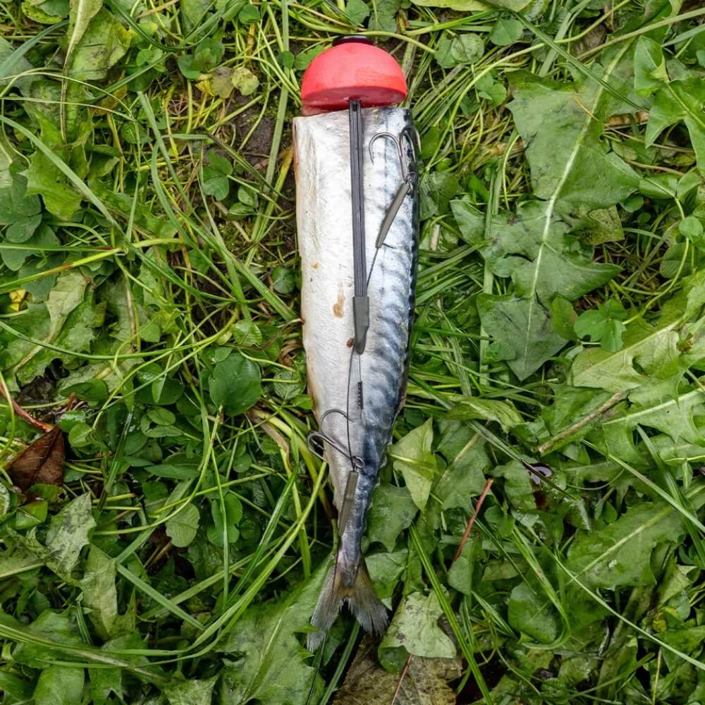 Zeck DB Pop Up Kit Beispiel Montage außen