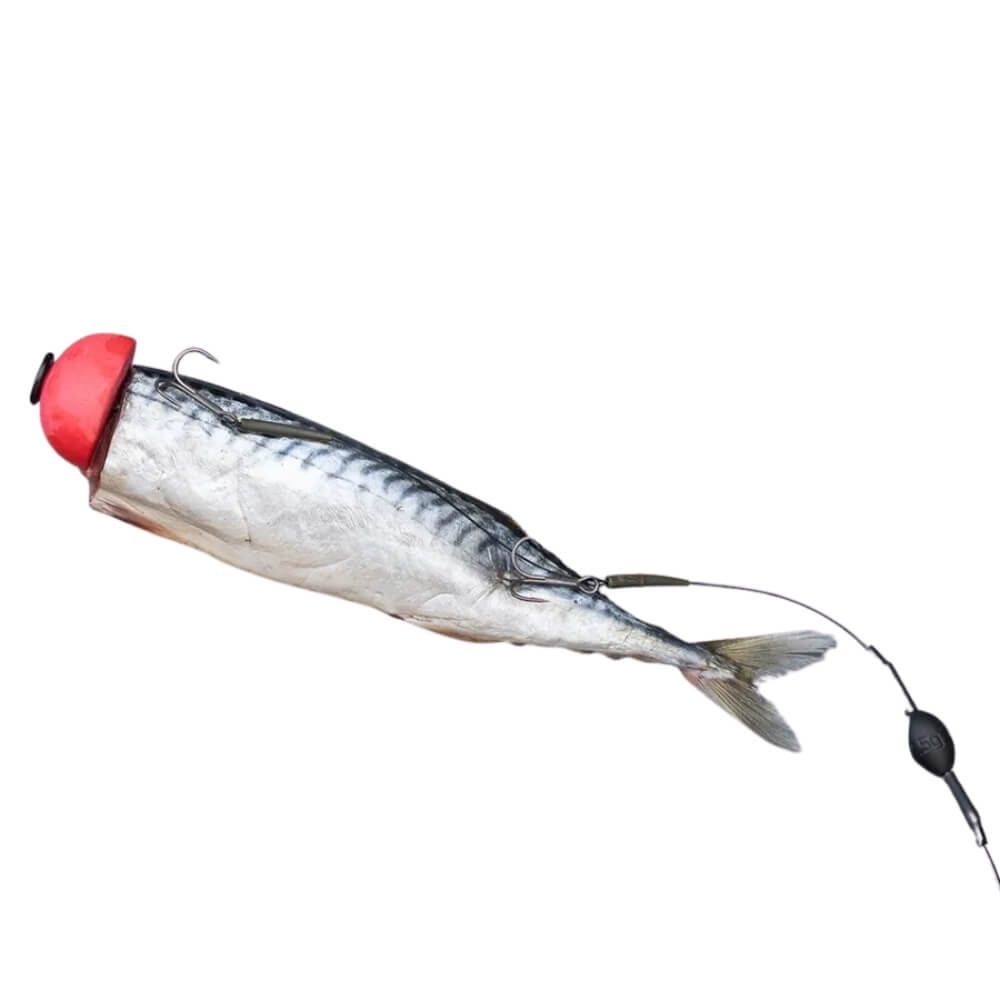 Zeck DB Pop Up Kit Beispiel Montage fertig