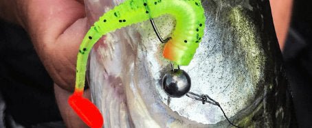 Cheba Rig Angeln mit dem Cheburashka Rig
