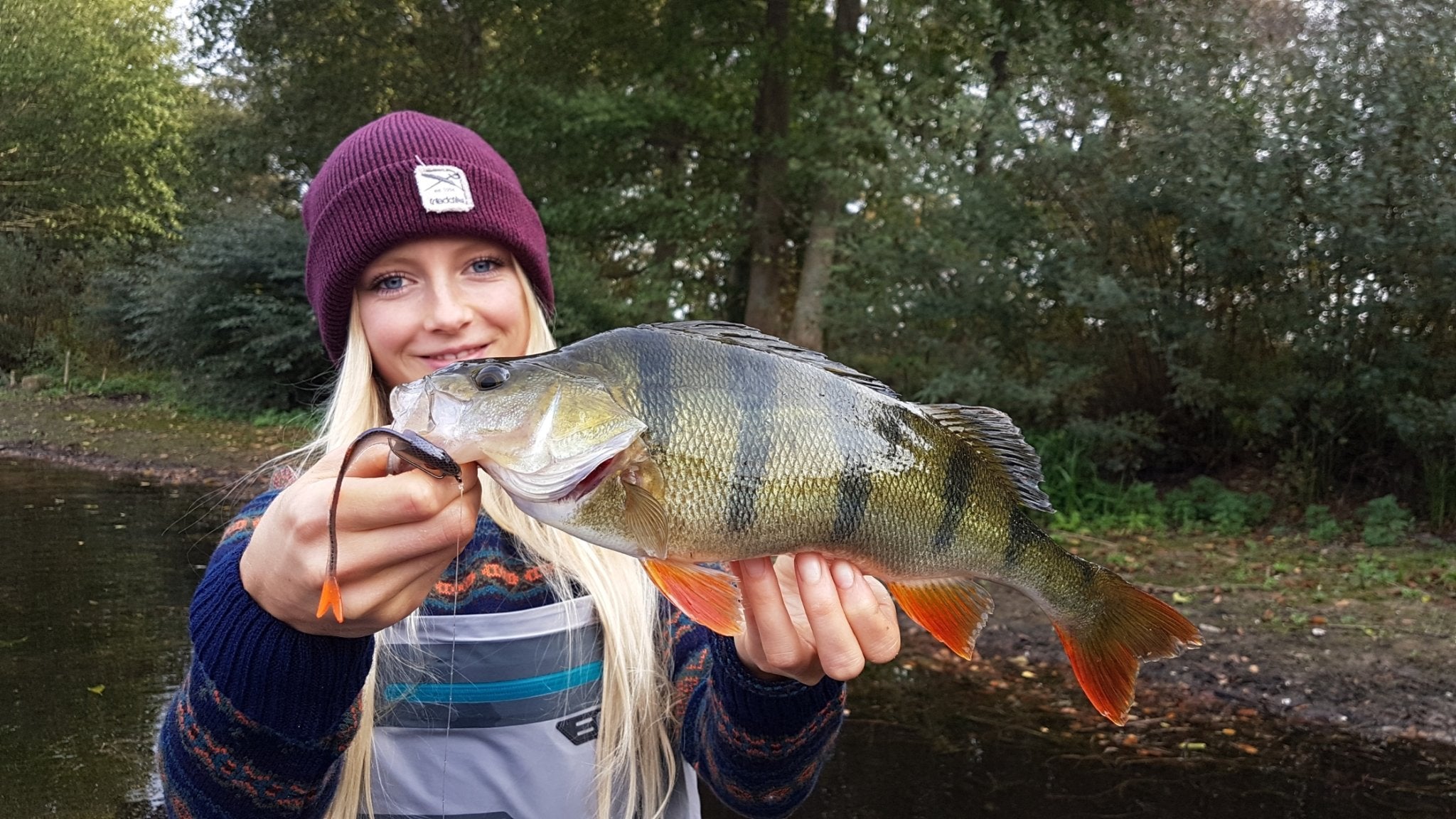 Angeln mit dem Texas-Rig - HechtundBarsch.de