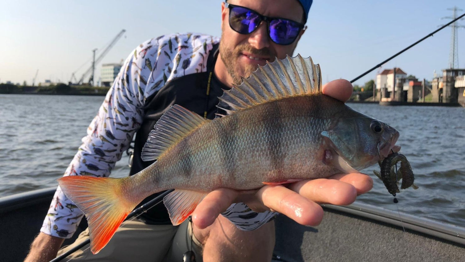 Free-Rig: Mit dem Free-Rig angeln » HechtundBarsch.de