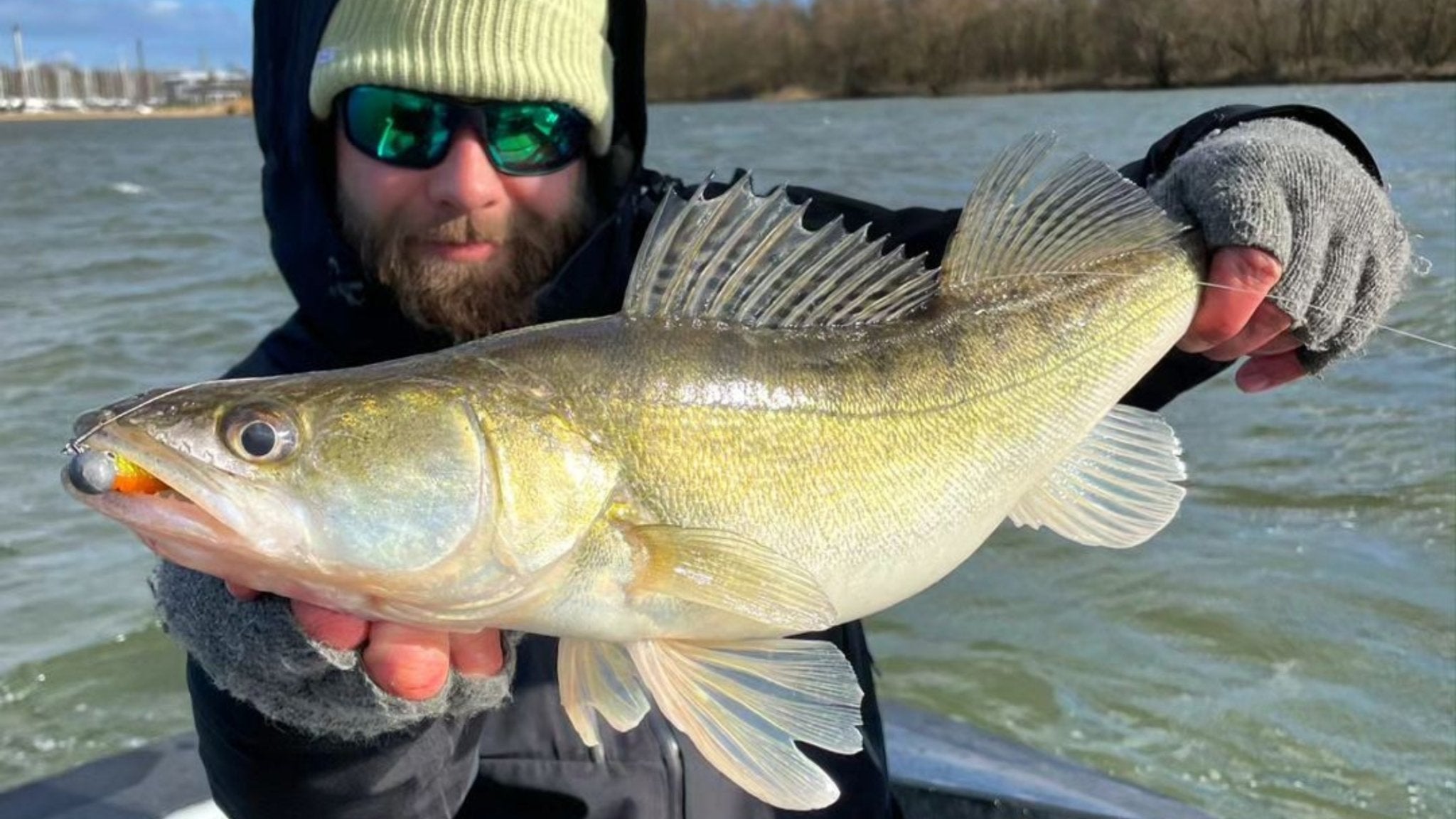 Zander ABC: Mit Kunstködern vom Ufer am großen Fluss für Anfänger - HechtundBarsch.de