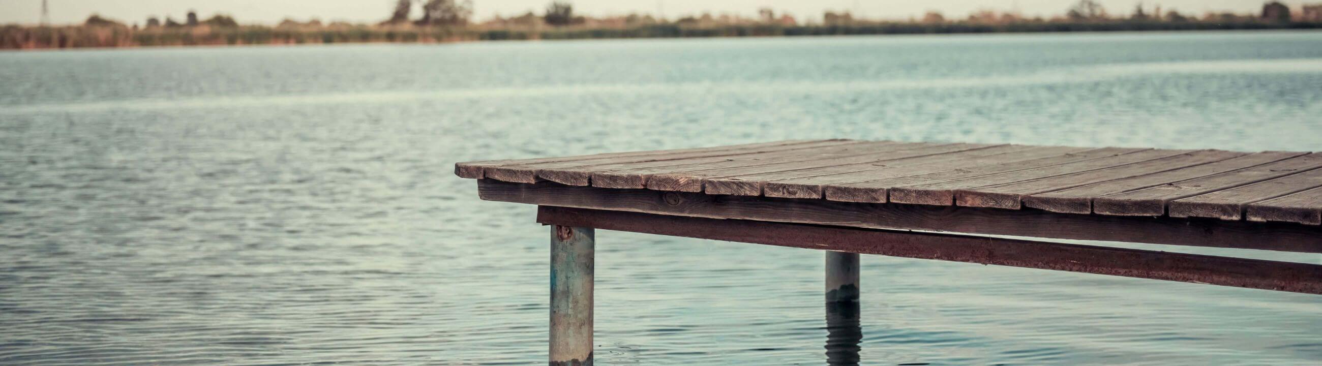 Freilaufrolle, deine neue Deadbait Rolle, Rolle zum angeln mit Köderfisch -collection Banner