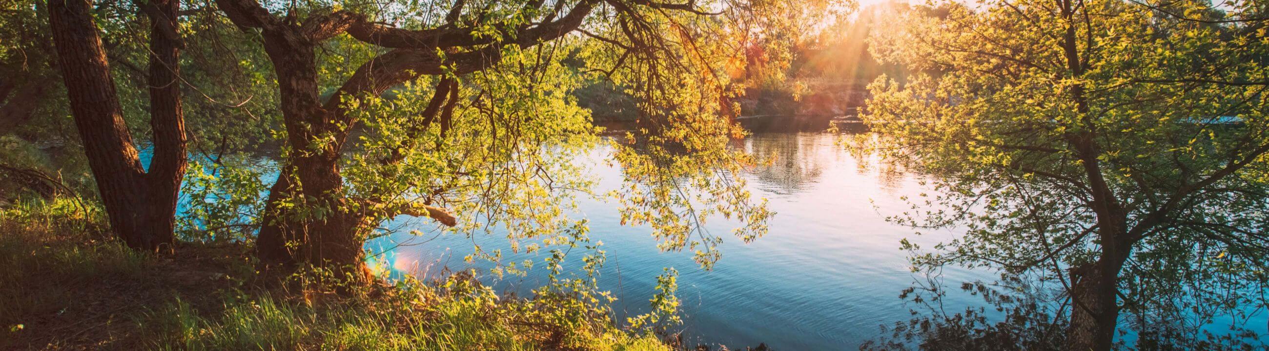 Deadbait Schnüre, deine neue geflochtene Schnur zum Angeln mit Köderfisch - collection Banner