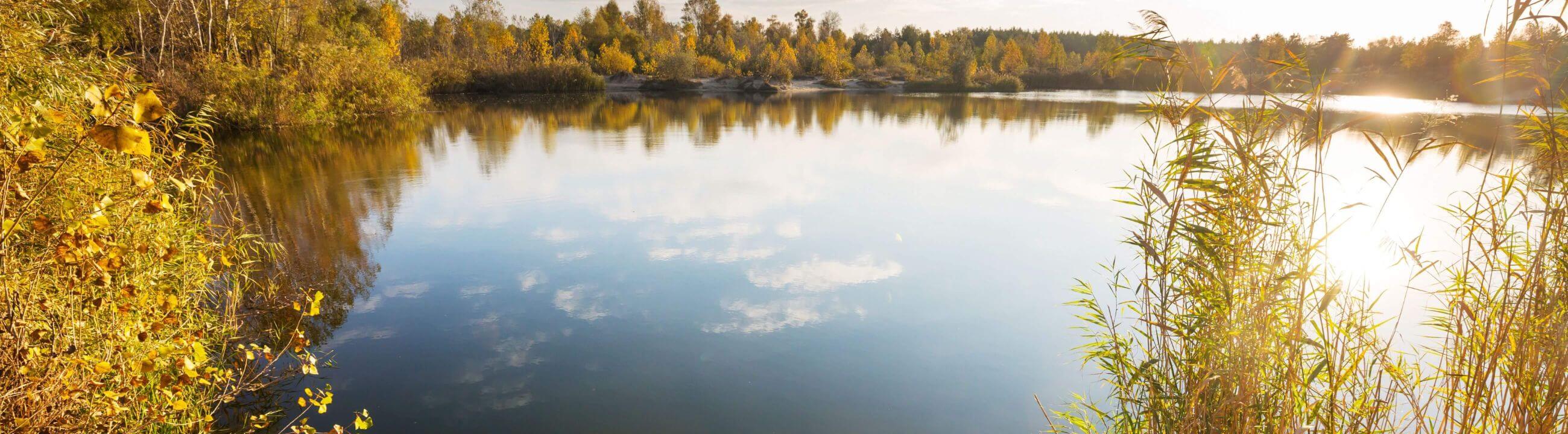 Deadbait Hakensysteme, alles für dein Hakensystem mit Köderfisch, Haken köderfischmontage collection Banner