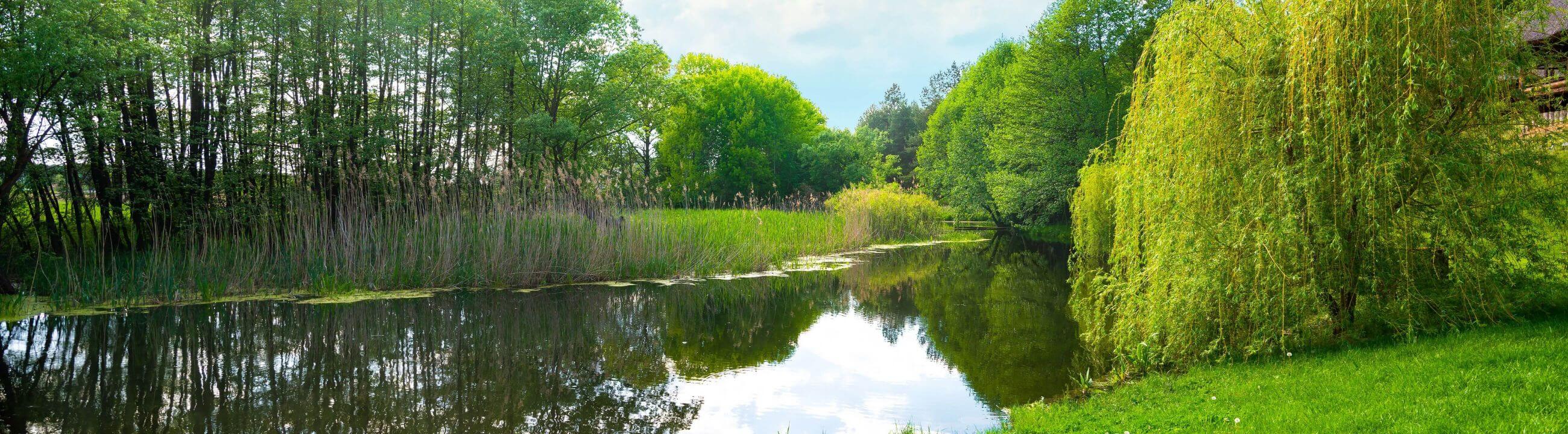 Raubfischposen -Pose zum Deadbait angeln - Collection Banner