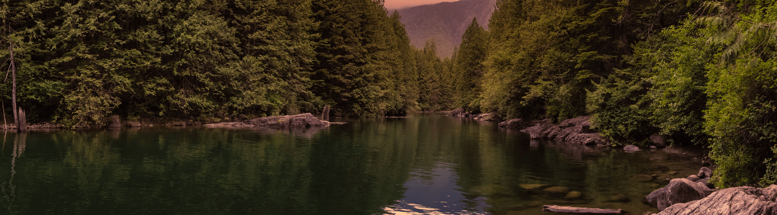 LMAB Hardbaits Collection Banner