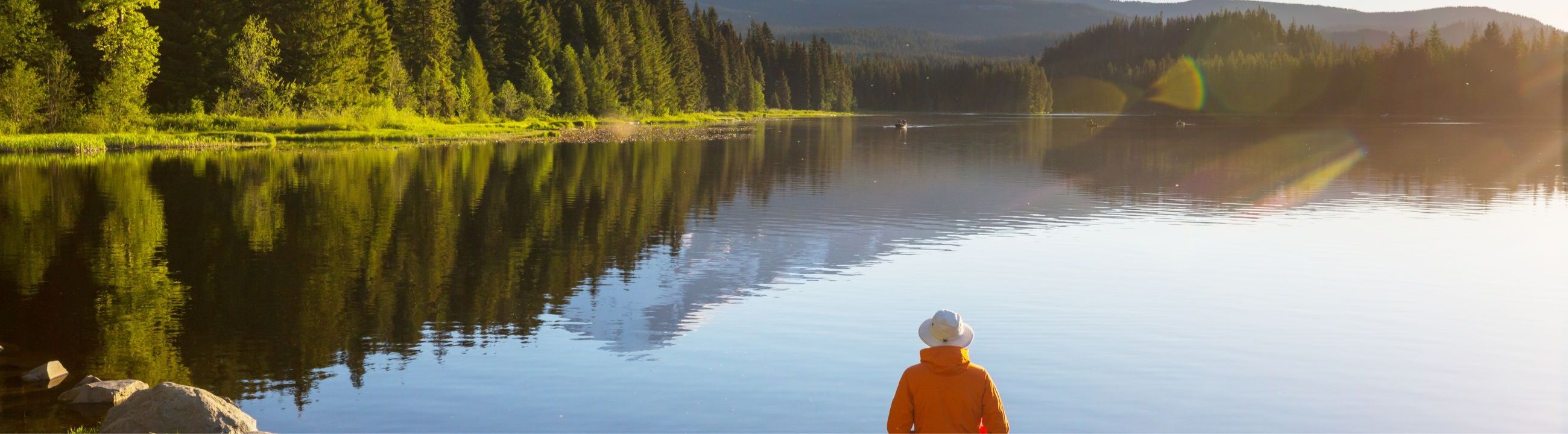 Megabass Ruten: Spinnruten & Baitcaster » bei HechtundBarsch.de