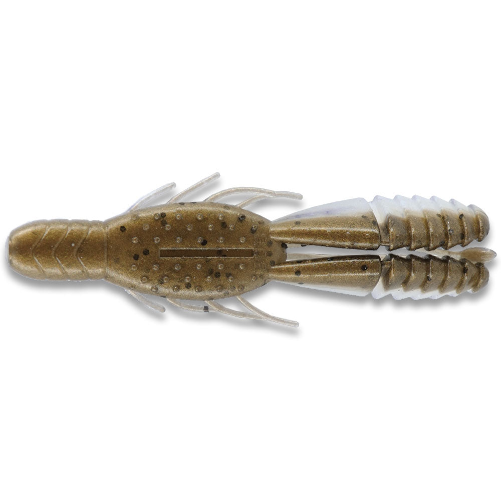Bite-of-Bleak-Umida-Bug-The-Deal