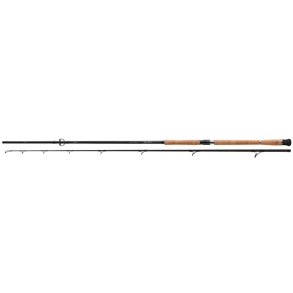 Daiwa-Pro-Staff-Catfish-Spin-2-60-m-80-240-g-Spin-01