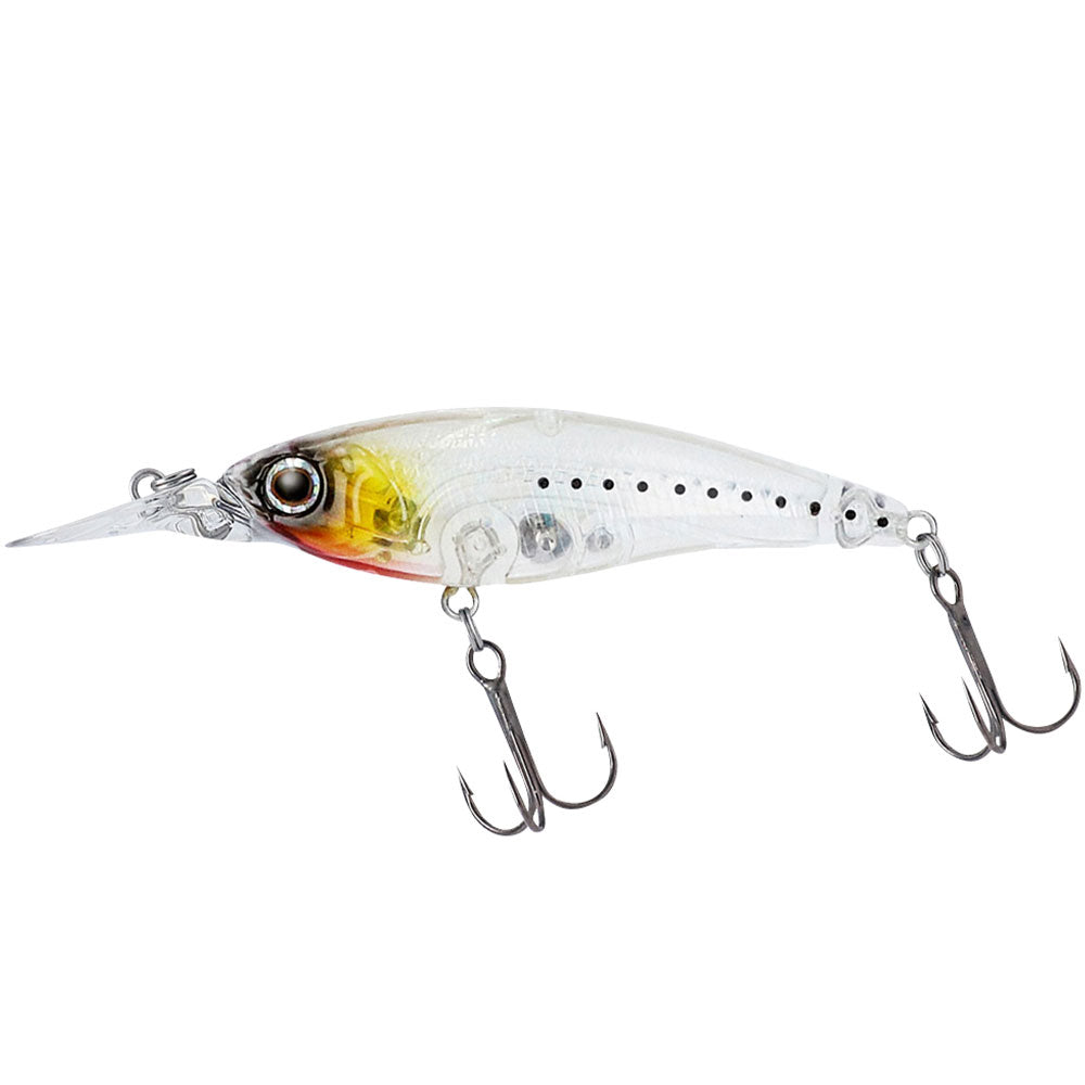 Daiwa Steez Shad 60SP DR - Wobbler Affondante Per Grandi Predatori, Azione Letale