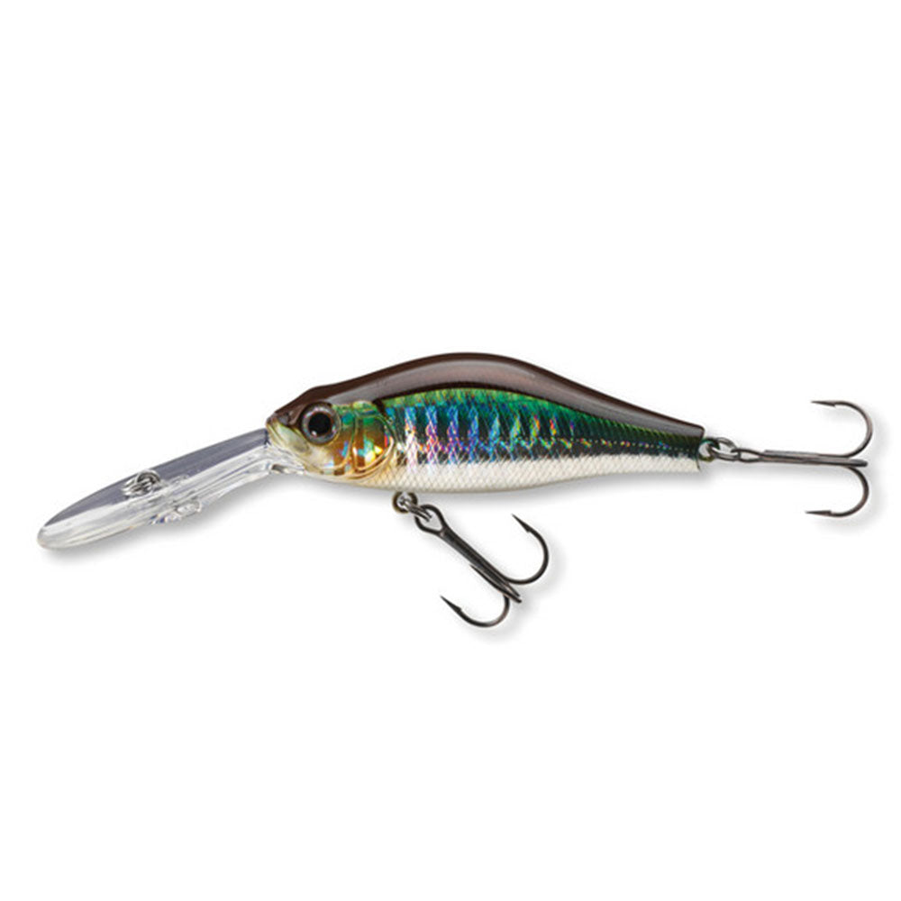 Daiwa Tournament Mega Scouter 1064FG Kibinago