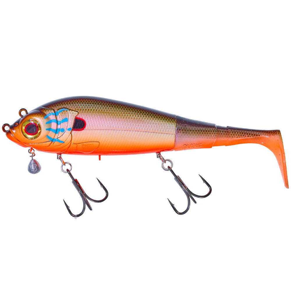 Gunki-Grouper-180-S-Sun-Perch