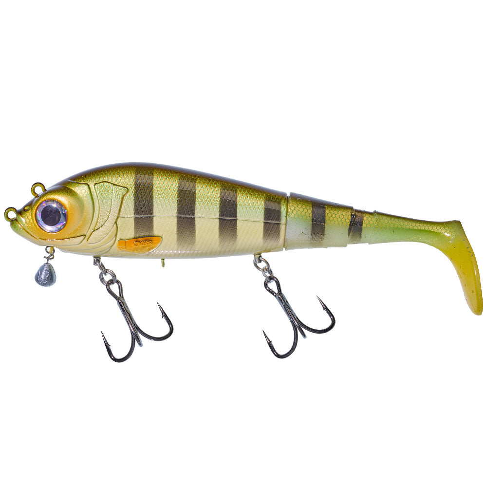 Gunki-Grouper-180-S-Wild-Perch