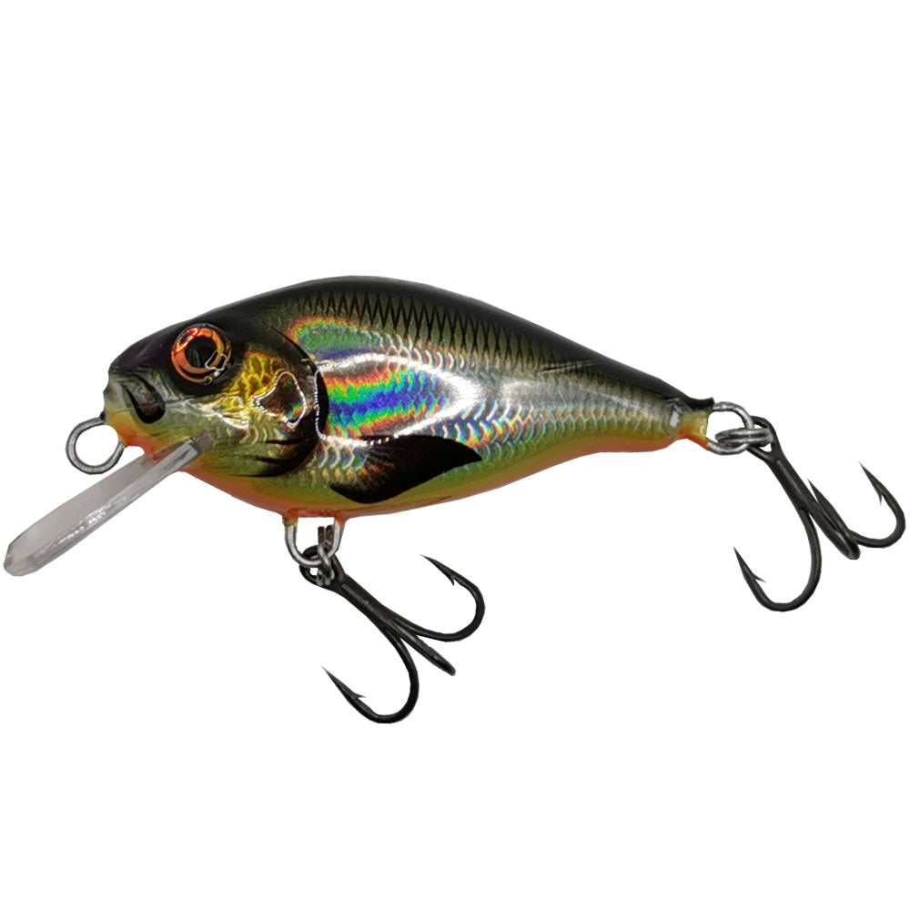 Hybrida Wobbler C4 T Crankbait Shallow Runner Flachlaeufer WFO