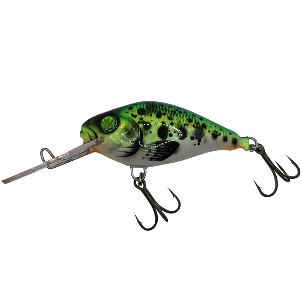 Hybrida Wobbler C4 T Crankbait Deep Runner Tieflaeufer HG